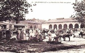 Orleansville 